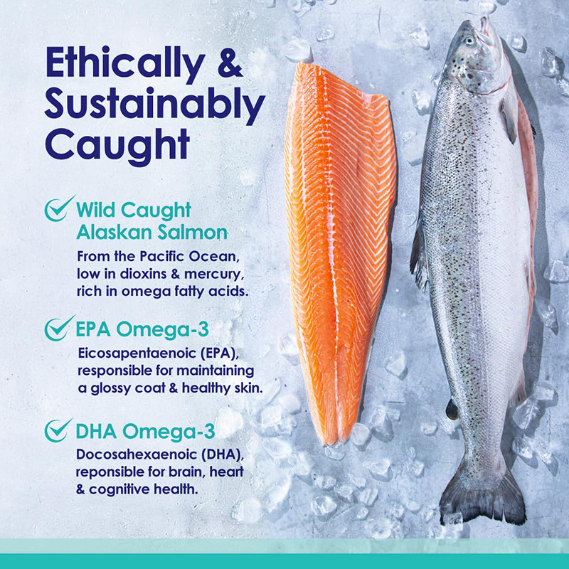 Olej rybi Omega 3 dla psów, po – Omega 3 Fish Oil recenzja i cena