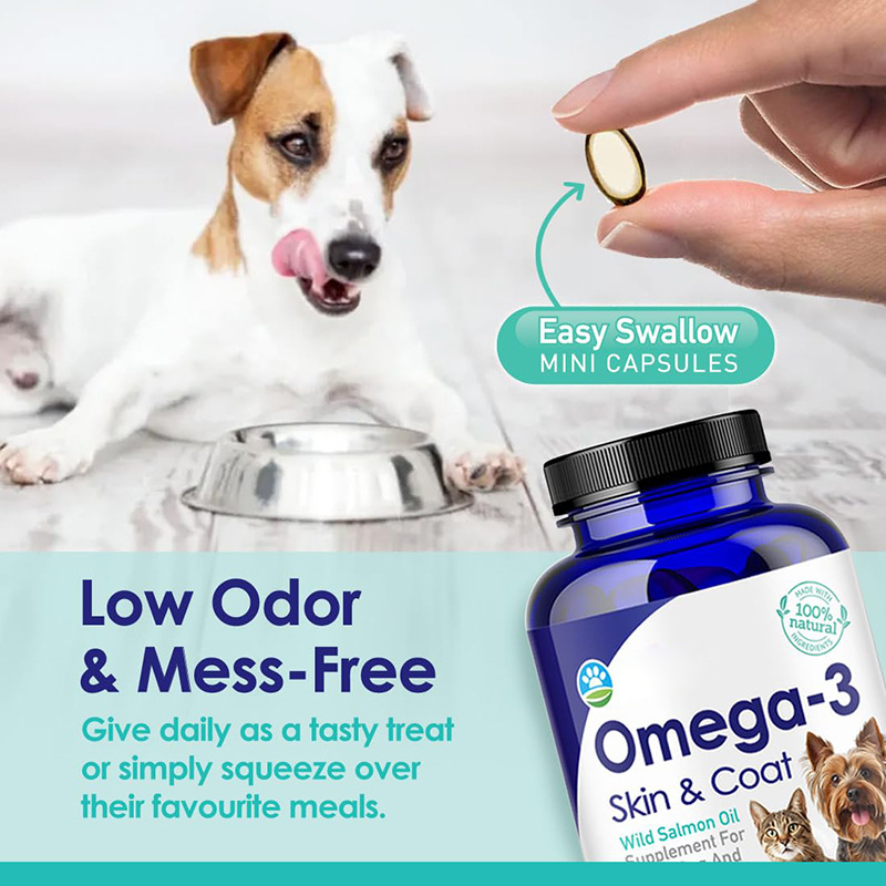 Olej rybi Omega 3 dla psów, po – Omega 3 Fish Oil recenzja i cena